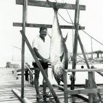 hemingway-tuna-bimini-first-bluefin