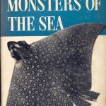 mitchell-hedges-battles-monsters-sea