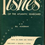 ackerman-handbook-fishes-atlantic-seaboard