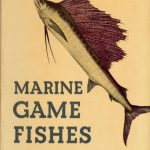 la-Monte-Marine-Game-Fishes-world