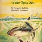 la-monte-giant-fish-open-sea