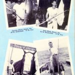 Seamaster-miami-florida-spinning-reel-gold-vintage-bob-mcchristian