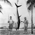 boxer-gene-tunney-tuna-bimini-big-game-fishing