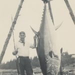 zane-grey-fishing-tuna-marlin-swordfish-shark-vintage-photo-picture (68)